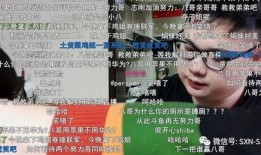 股民老谢爆料视频全集,揭秘股市内幕与投资真谛