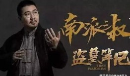 盗墓者爆料南派三叔视频,南派三叔视频背后的惊世之谜